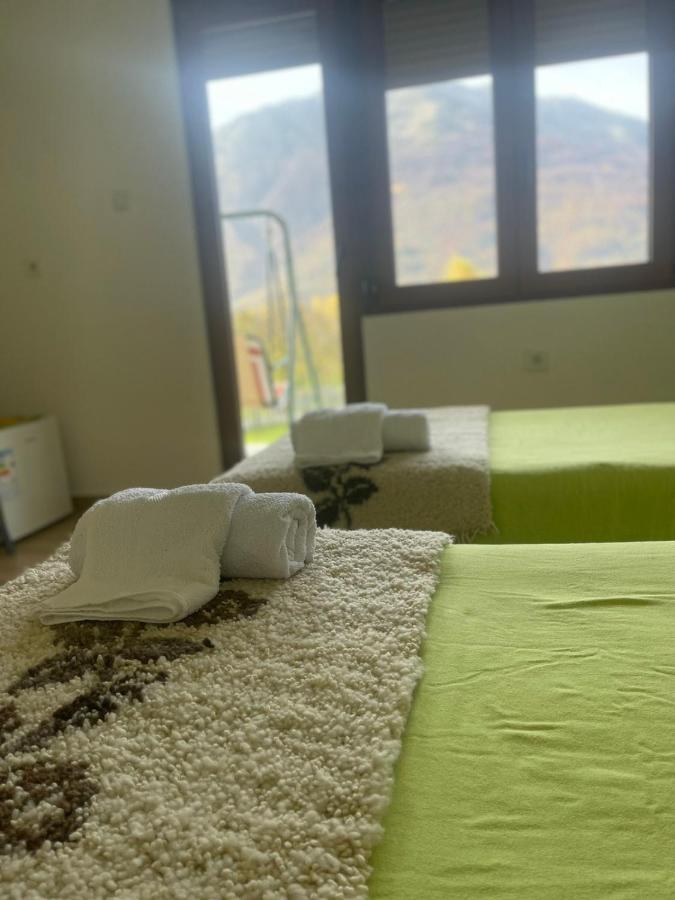 Visitor Yard Bed and Breakfast Πλαβ Εξωτερικό φωτογραφία