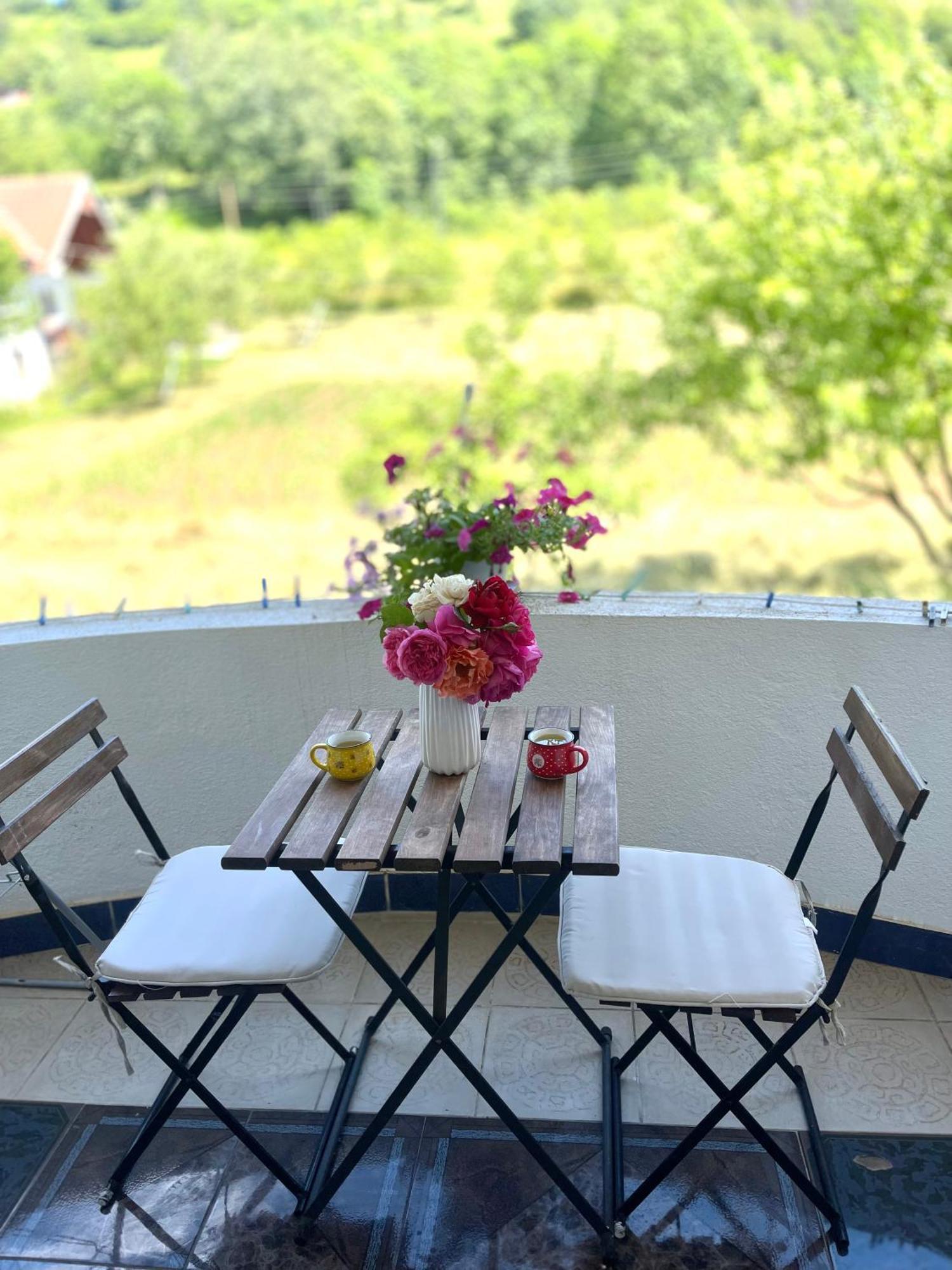 Visitor Yard Bed and Breakfast Πλαβ Εξωτερικό φωτογραφία