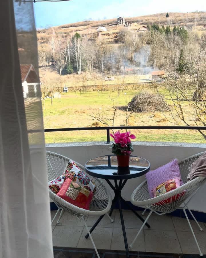 Visitor Yard Bed and Breakfast Πλαβ Εξωτερικό φωτογραφία