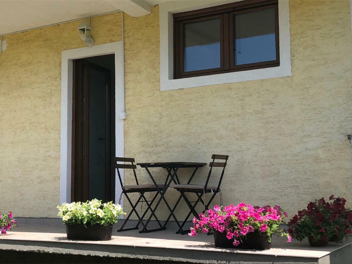 Visitor Yard Bed and Breakfast Πλαβ Εξωτερικό φωτογραφία