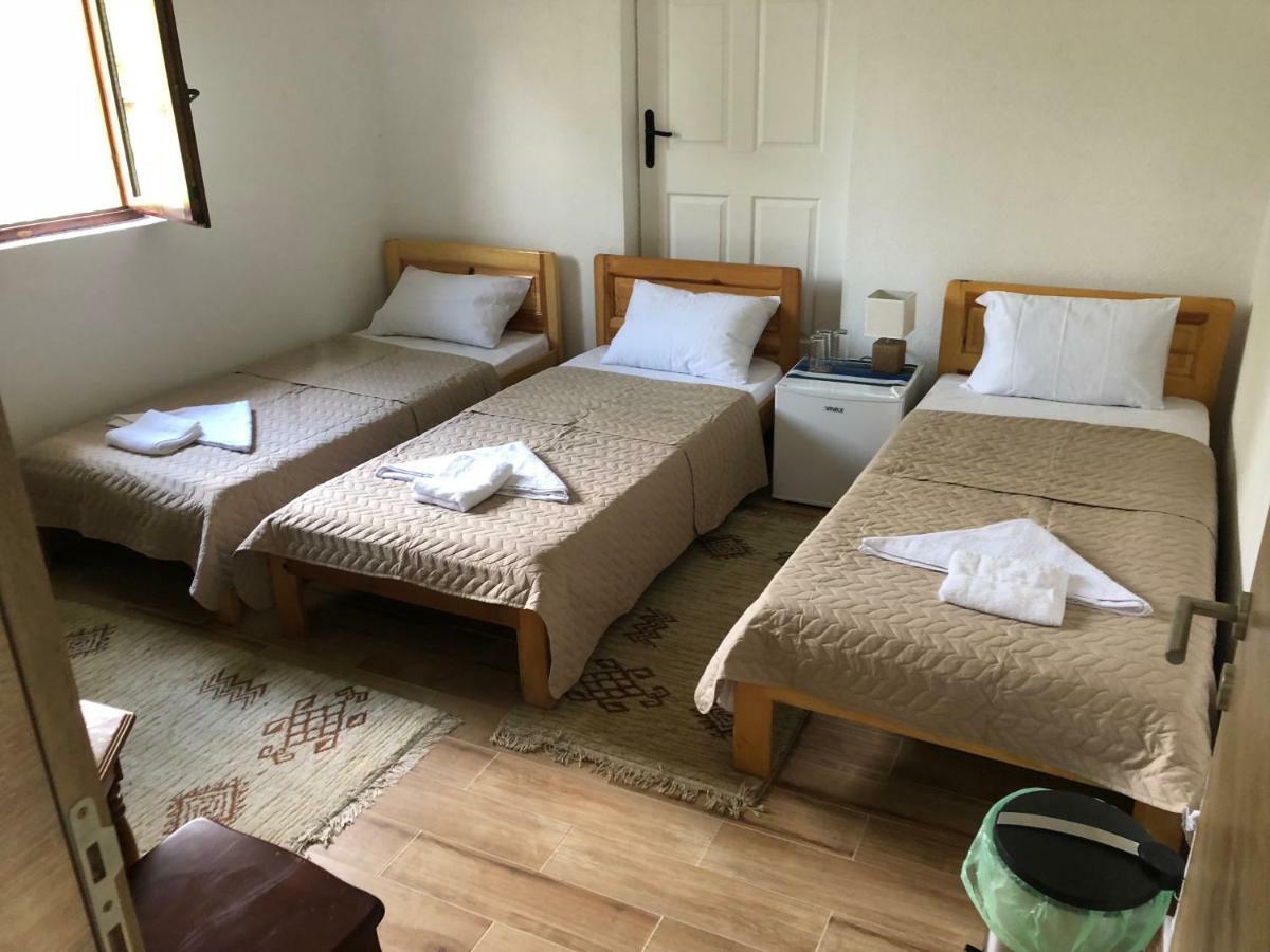 Visitor Yard Bed and Breakfast Πλαβ Εξωτερικό φωτογραφία